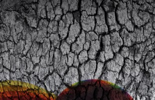 CHORA-forside-billede_3000x2100_02