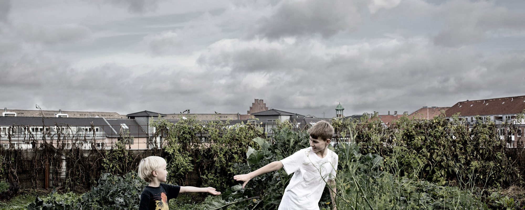 Konferencebillede-uden-tekst