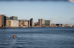 GO2WOODbetter use of tree in danish building