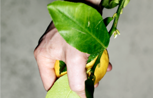 Skærmbillede 2016-02-05 kl. 15.12.20