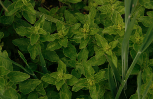 Skærmbillede-2016-05-26-kl.-20.48.09